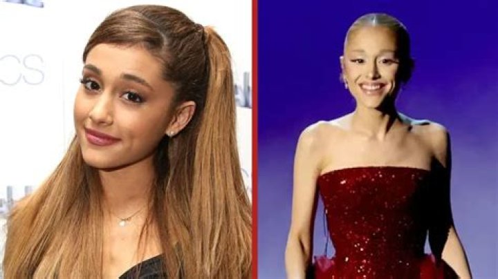 How Does Ariana Greenblatt's Height Compare Considering Her Puerto Rican-Jewish Heritage? - SarkariResult