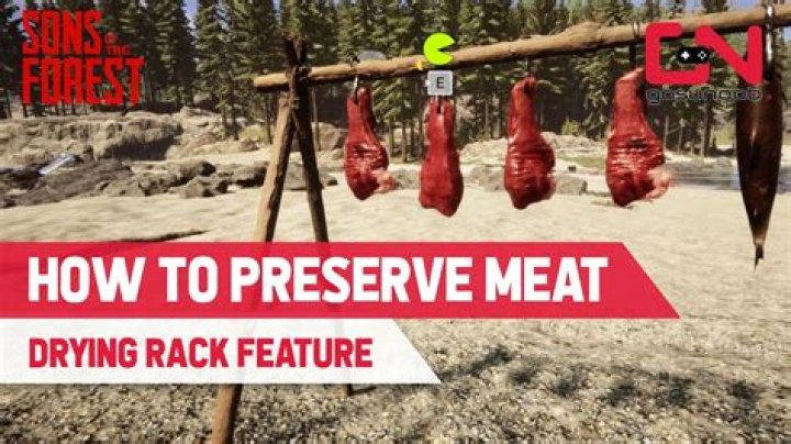 How to Fix / Solve Sons of the Forest Drying Rack Not Working - SarkariResult