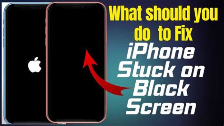 How to Fix / Solve: The Finals Stuck On Black Screen - SarkariResult