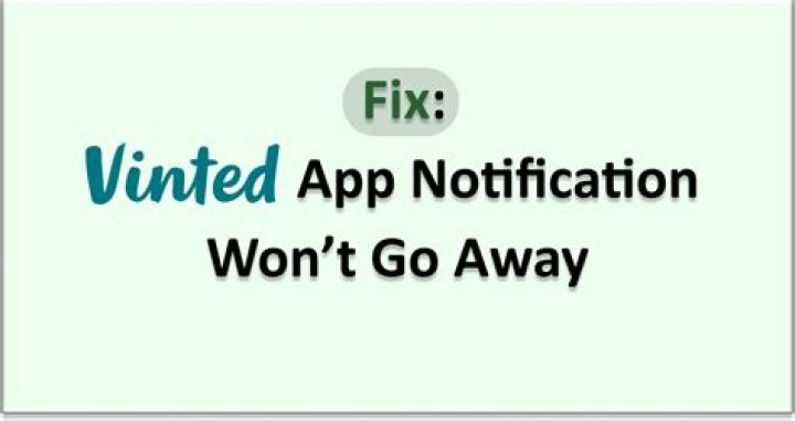 How to Fix Vinted App Not Working? - SarkariResult