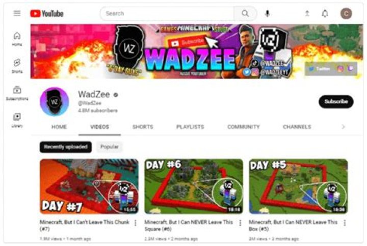 WadZee Youtuber overview